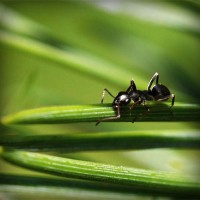 /album/www-trabajos-com-pe/photolia-a05-jpg/