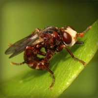 /album/www-trabajos-com-pe/photolia-a06-jpg/