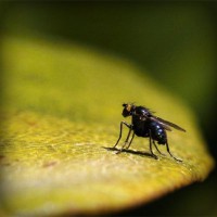 /album/www-trabajos-com-pe/photolia-a07-jpg/